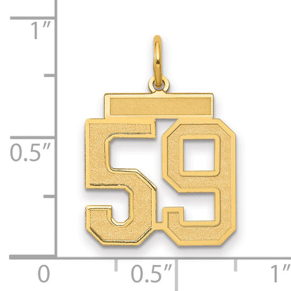 14K Yellow Gold Medium Satin Number 59 Charm