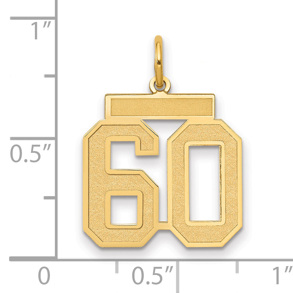 10K Yellow Gold Medium Satin Number 66 Charm