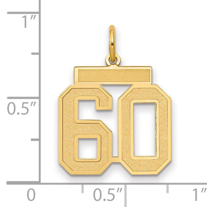 14K Yellow Gold Medium Satin Number 60 Charm