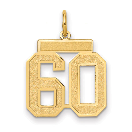 14K Yellow Gold Medium Satin Number 60 Charm
