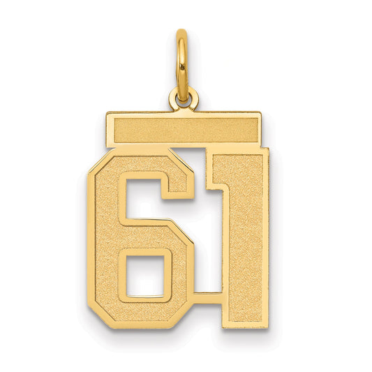 14k Yellow Gold 14k Medium Satin Number 61 Charm