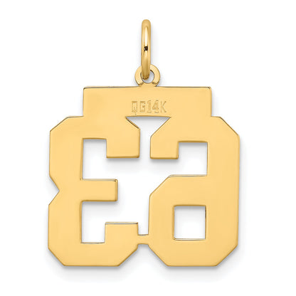 14K Yellow Gold Medium Satin Number 63 Charm