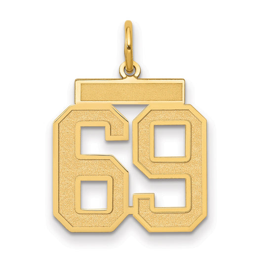 14K Yellow Gold Medium Satin Number 69 Charm