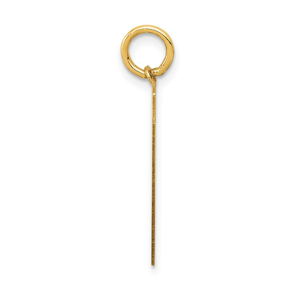 14K Yellow Gold Medium Satin Number 91 Charm