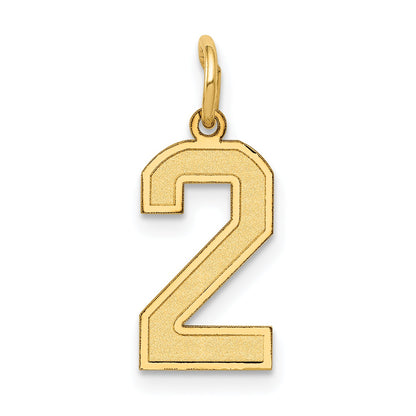 14k Yellow Gold 14k Small Satin Number 2 Charm