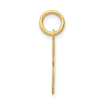 14k Yellow Gold 14k Small Satin Number 3 Charm
