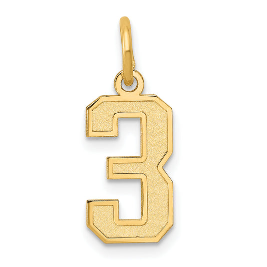 14k Yellow Gold 14k Small Satin Number 3 Charm