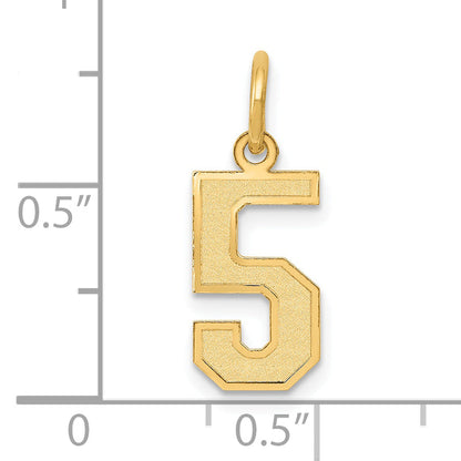 14k Yellow Gold 14k Small Satin Number 5 Charm