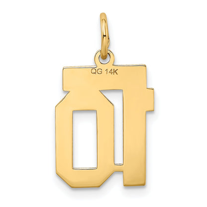 14k Yellow Gold 14k Small Satin Number 10 Charm