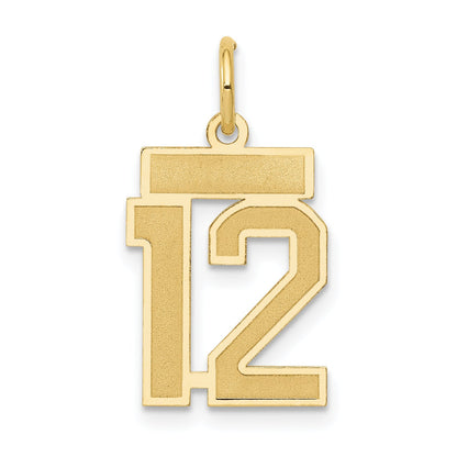 14k Yellow Gold 14k Small Satin Number 12 Charm