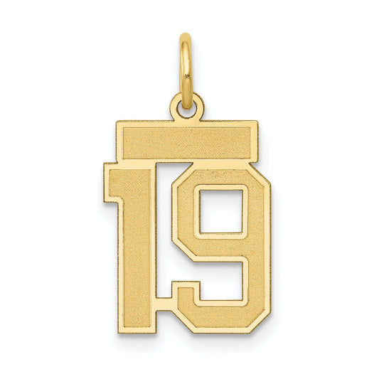 10K Yellow Gold Small Satin Number 19 Charm
