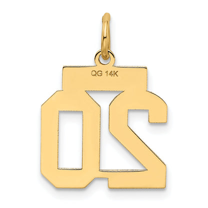 14k Yellow Gold 14k Small Satin Number 20 Charm