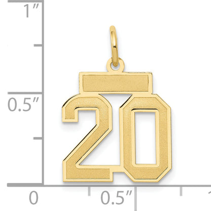 10K Yellow Gold Small Satin Number 20 Charm