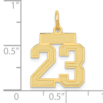 14k Yellow Gold 14k Small Satin Number 23 Charm