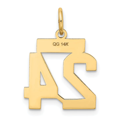 14k Yellow Gold 14k Small Satin Number 24 Charm