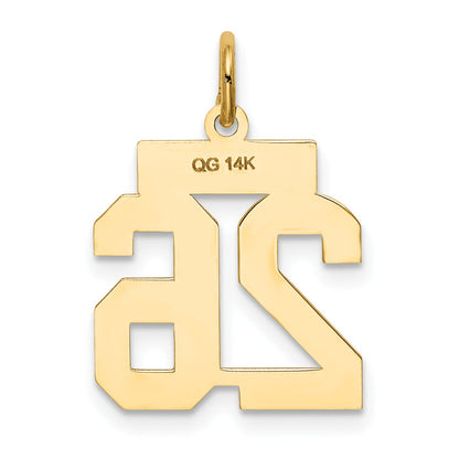 14k Yellow Gold 14k Small Satin Number 26 Charm