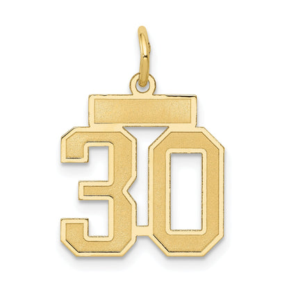 10K Yellow Gold Small Satin Number 30 Charm