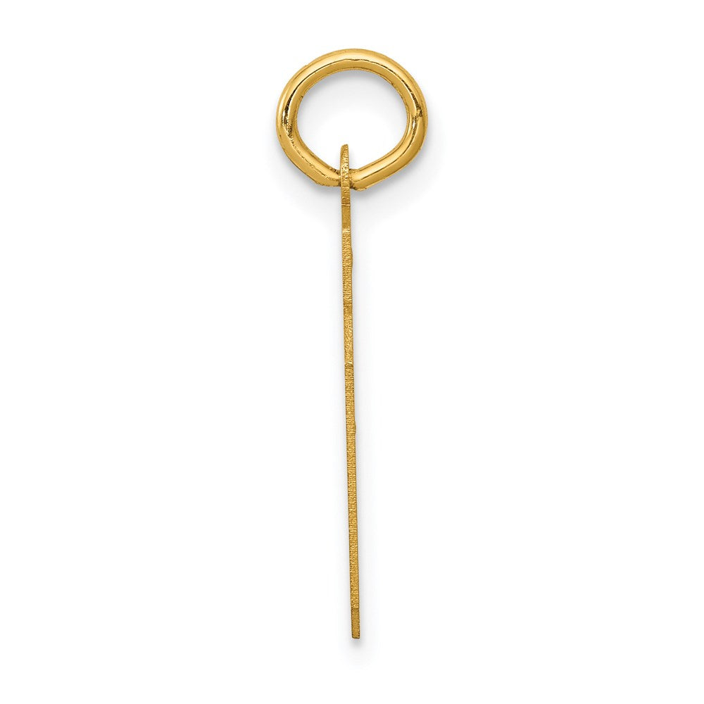 14K Yellow Gold Small Satin Number 39 Charm