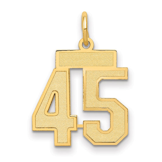 14k Yellow Gold 14k Small Satin Number 45 Charm