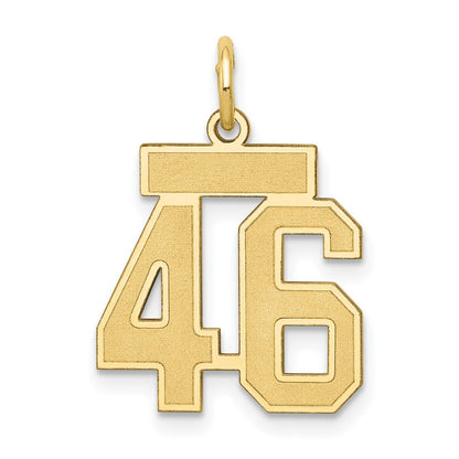 14K Yellow Gold Small Satin Number 46 Charm
