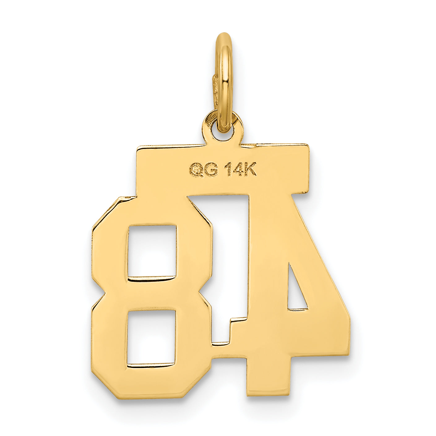 14K Yellow Gold Small Satin Number 48 Charm