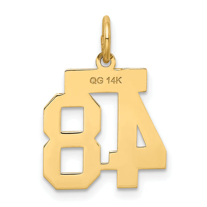 14K Yellow Gold Small Satin Number 48 Charm