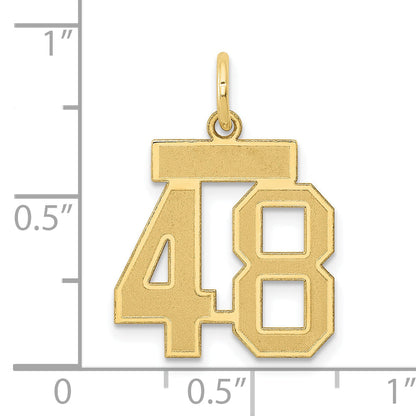 14K Yellow Gold Small Satin Number 48 Charm