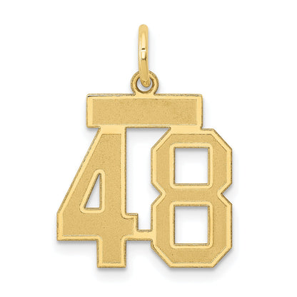 14K Yellow Gold Small Satin Number 48 Charm