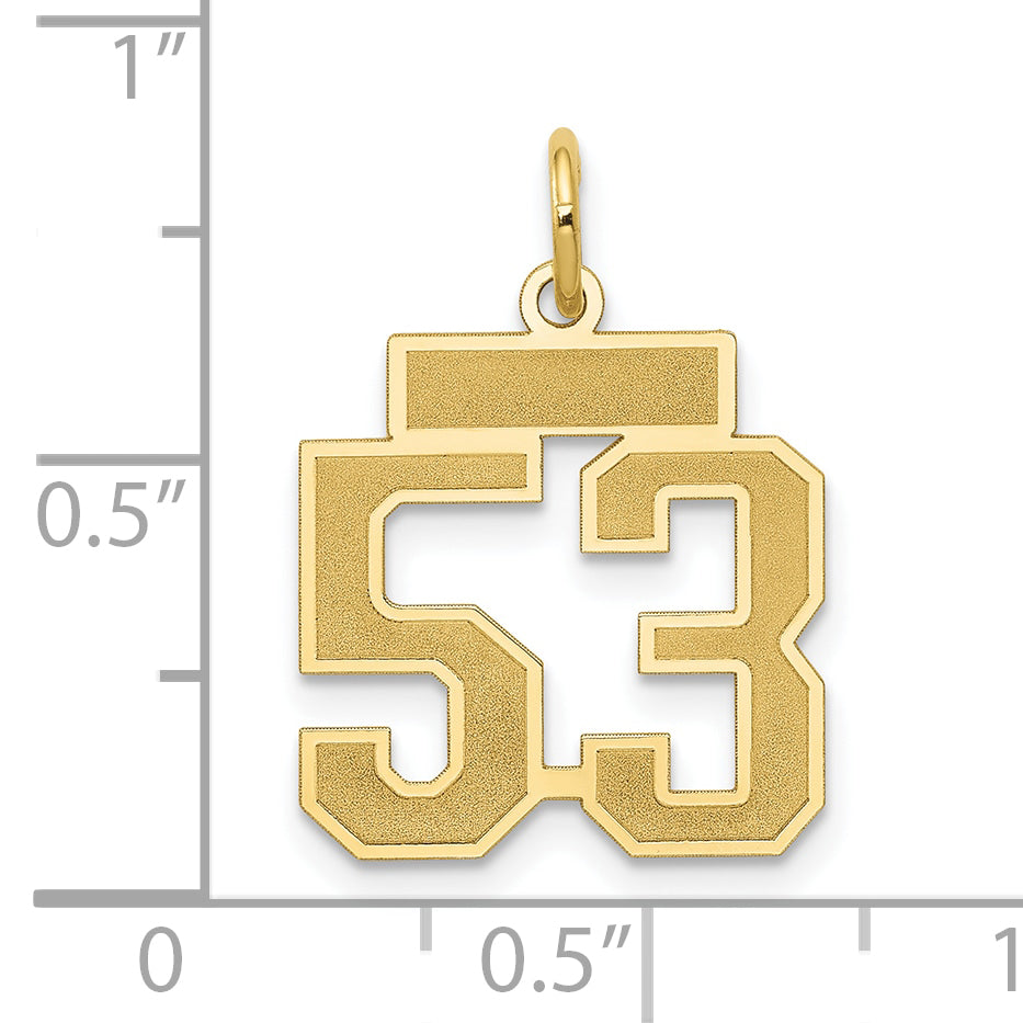 14K Yellow Gold Small Satin Number 53 Charm