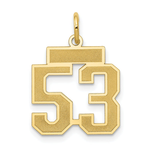 14K Yellow Gold Small Satin Number 53 Charm