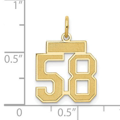 10K Yellow Gold Small Satin Number 58 Charm