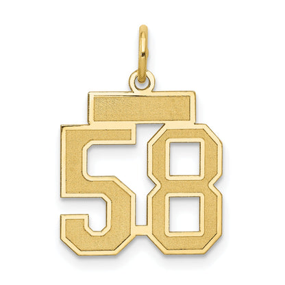10K Yellow Gold Small Satin Number 58 Charm