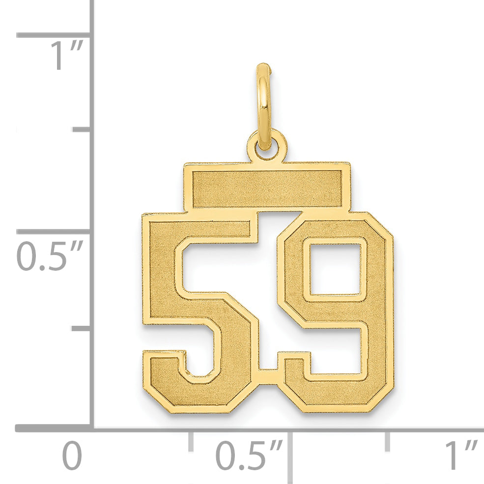 14K Yellow Gold Small Satin Number 59 Charm