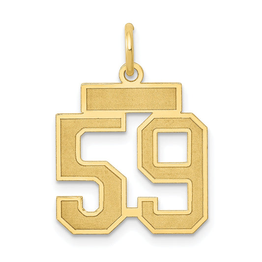 14K Yellow Gold Small Satin Number 59 Charm