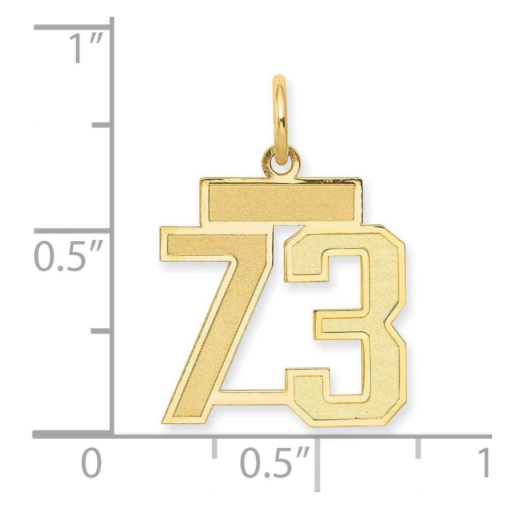 14K Yellow Gold Small Satin Number 73 Charm