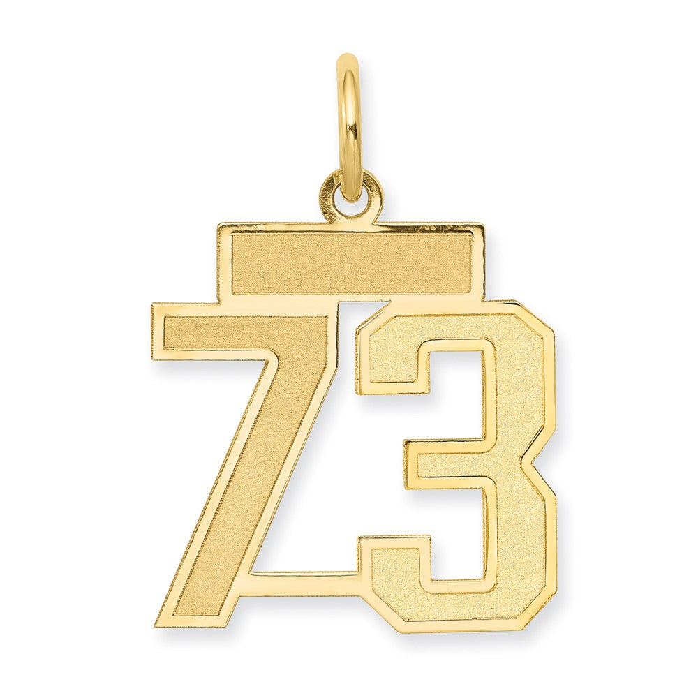 14K Yellow Gold Small Satin Number 73 Charm