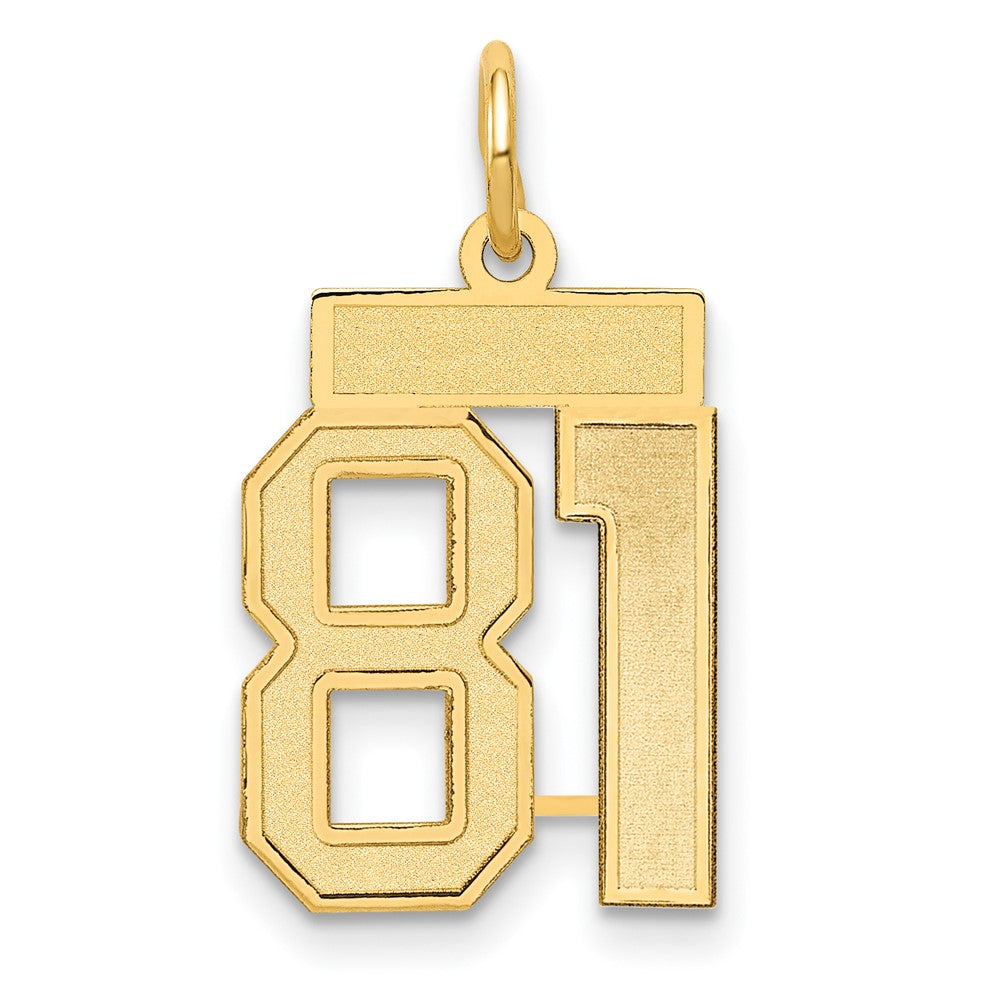 14K Yellow Gold Small Satin Number 81 Charm