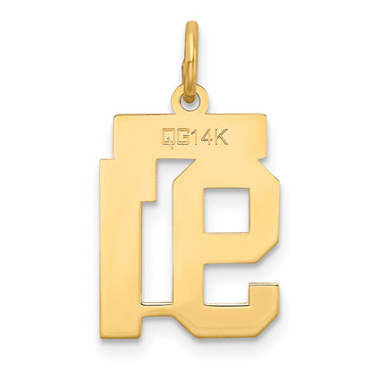14k Yellow Gold 14k Small Satin Number 91 Charm