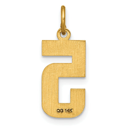 14K Yellow Gold Medium Diamond-Cut Number 5 Charm