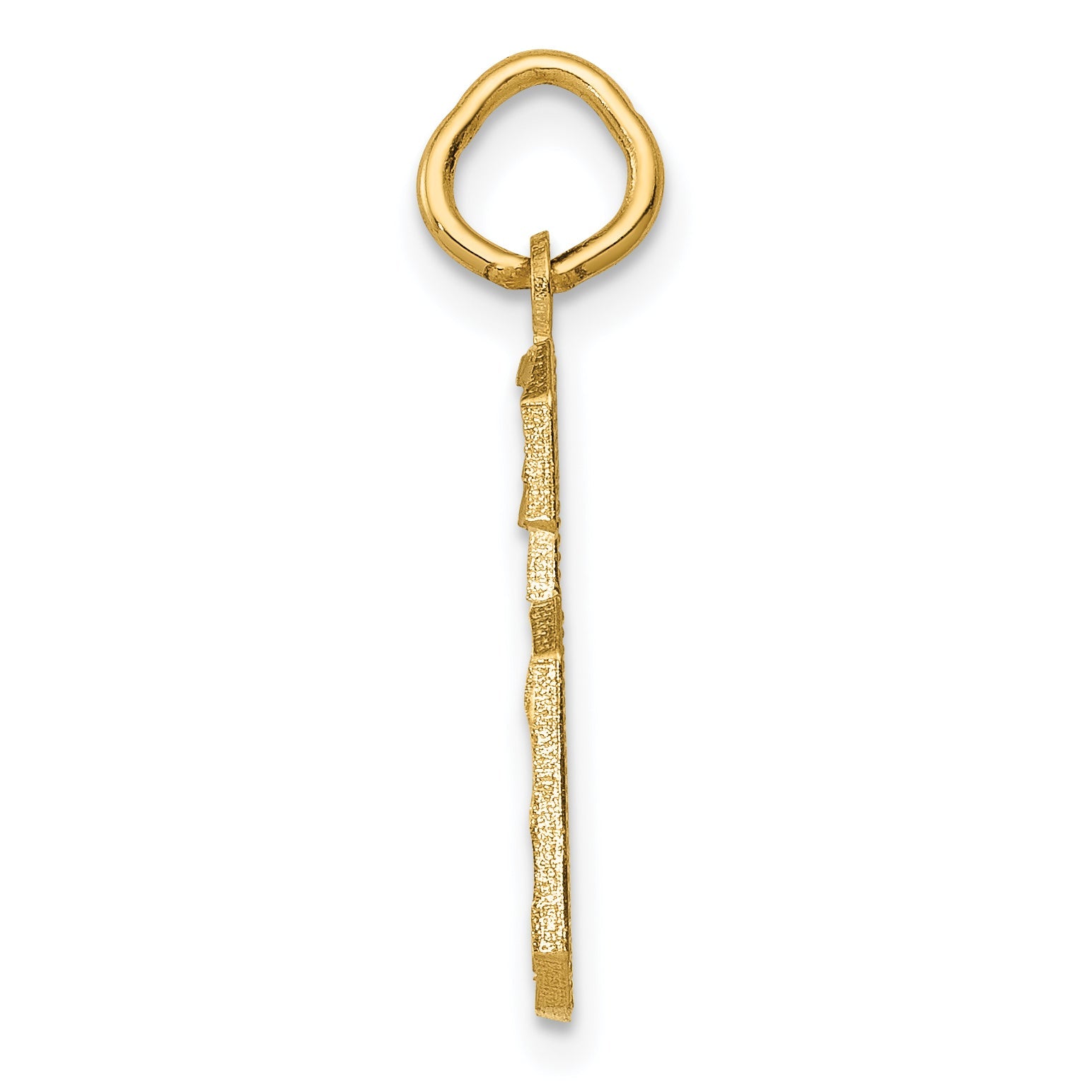 14K Yellow Gold Medium Diamond-Cut Number 6 Charm