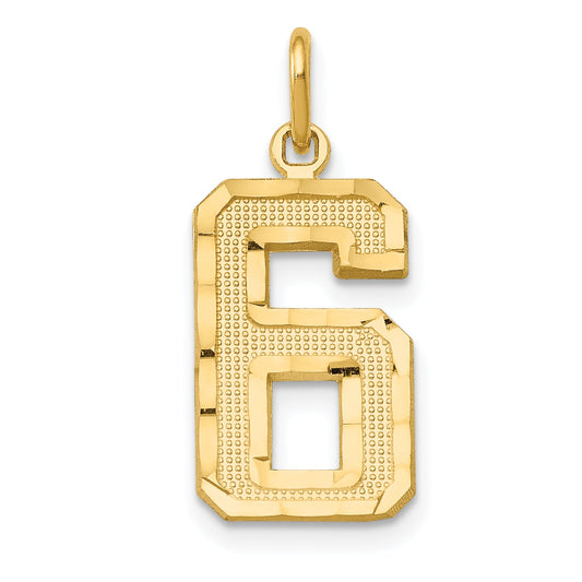 14K Yellow Gold Medium Diamond-Cut Number 6 Charm