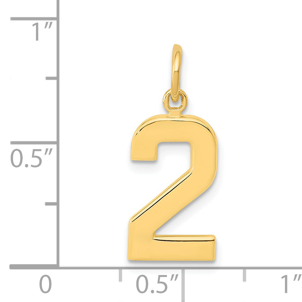 14K Yellow Gold Medium Polished Number 2 Charm