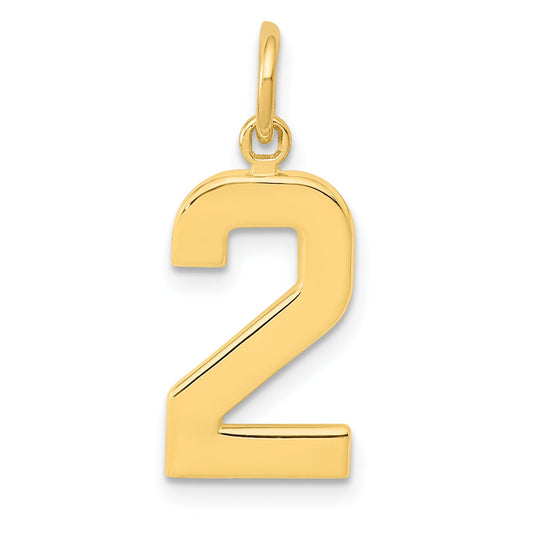 14K Yellow Gold Medium Polished Number 2 Charm