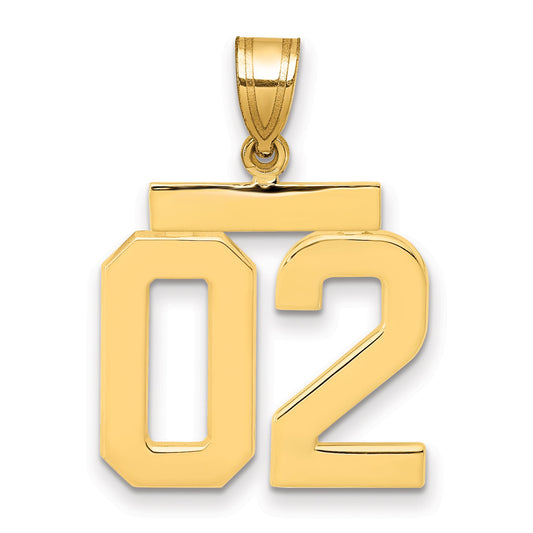 10K Yellow Gold Medium Polished Number 02 Charm