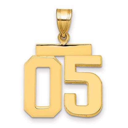 10K Yellow Gold Medium Polished Number 05 Charm