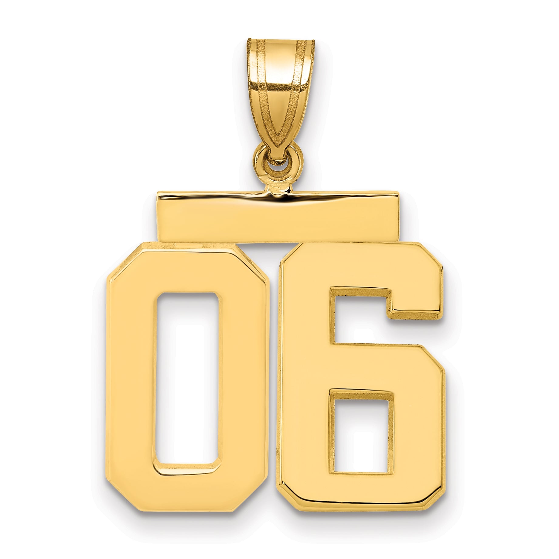 10K Yellow Gold Medium Polished Number 06 Charm