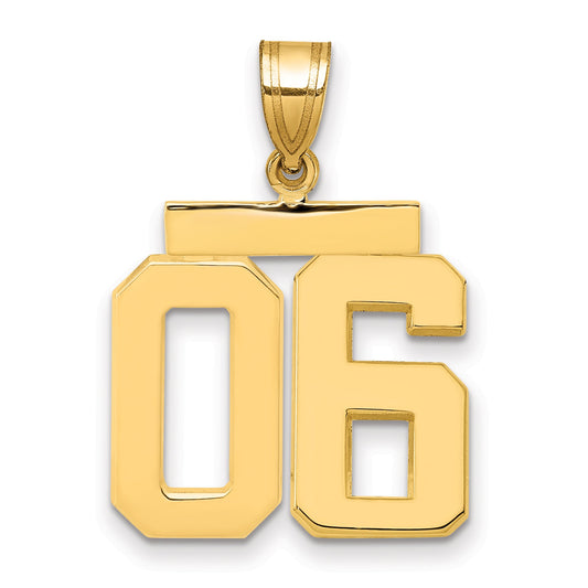 10K Yellow Gold Medium Polished Number 06 Charm