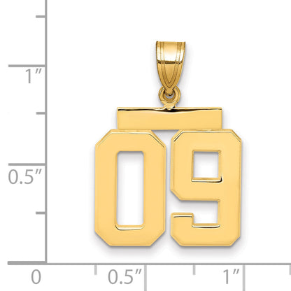 10K Yellow Gold Medium Polished Number 09 Charm