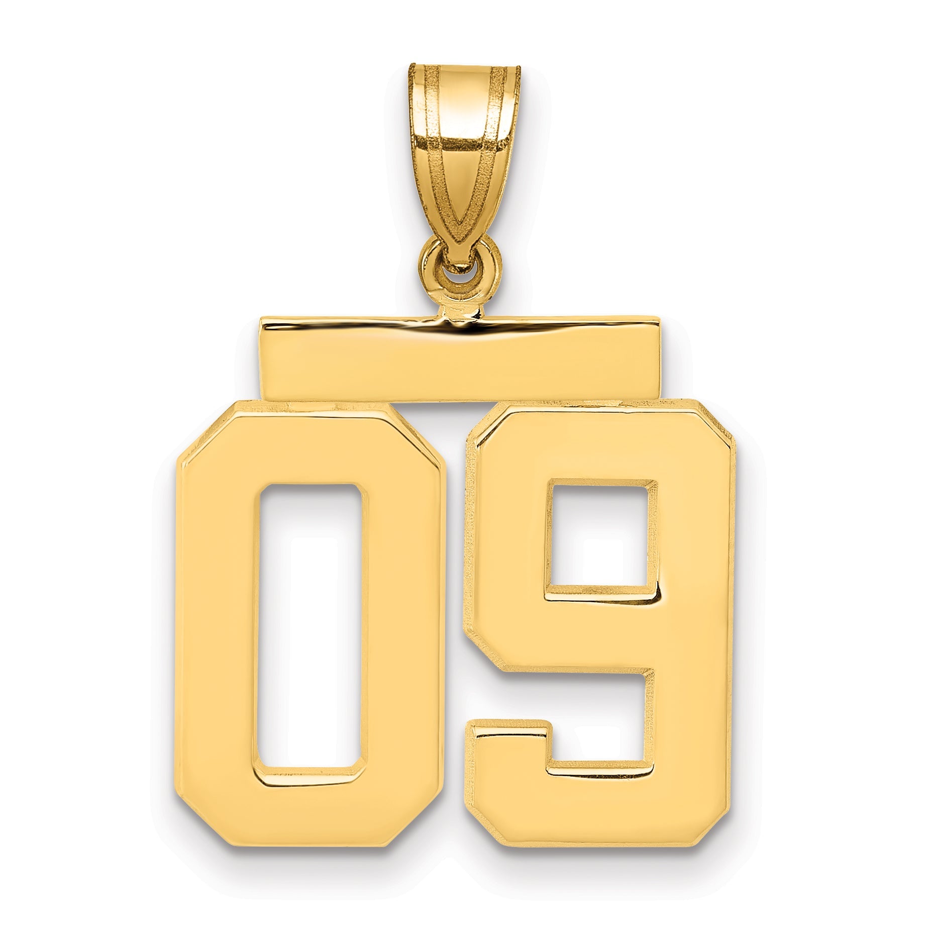 10K Yellow Gold Medium Polished Number 09 Charm
