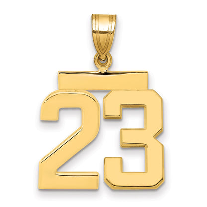 10K Yellow Gold Medium Polished Number 23 Charm